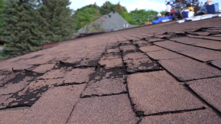 Best Roof Insulation Installation  in Shippensburg, PA